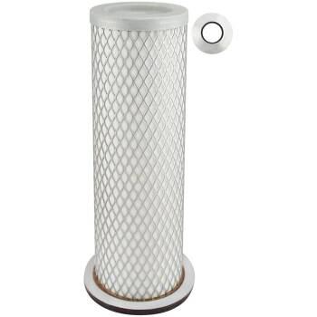 BALDWIN FILTERS FILTR POWIETRZA PA2689