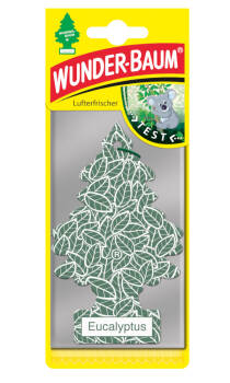WUNDER-BAUM CHOINKA EUKALYPTUS